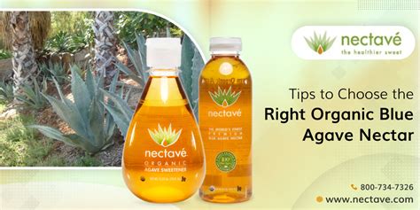 How to Choose the Perfect Organic Blue Agave Nectar