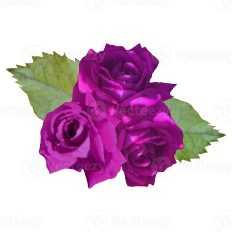 Bouquet Purple Rose Flower Png 24593285 Png - vrogue.co