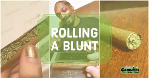 How to Roll a Blunt - A Beginners Guide to a Perfect Blunt