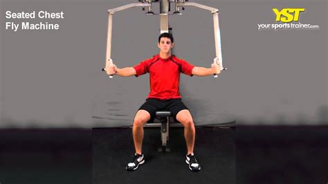 Seated Chest Fly Machine - YouTube