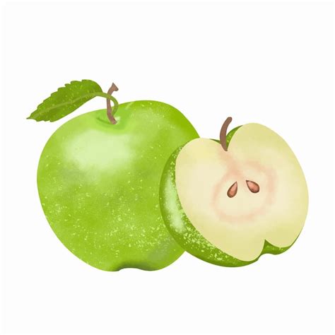 Premium Vector | Green apple slice Watercolor