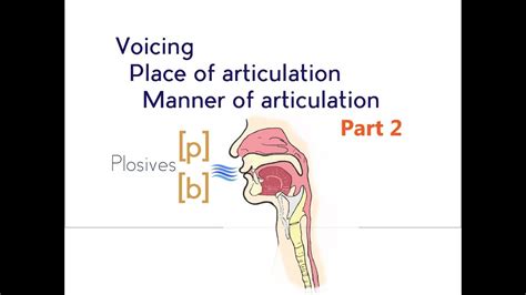 Manner Of Articulation Diagram