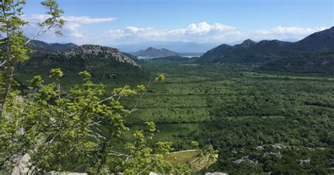 Skadar Lake National Park: Comprehensive Guide [2023 update]