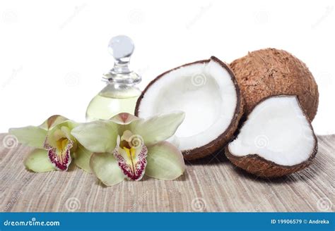 Nature spa stock image. Image of copy, neutral, light - 19906579