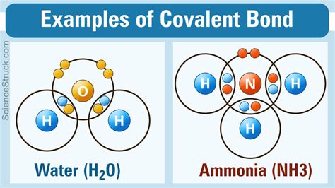 Covalent Compounds Examples At Home - EduForKid