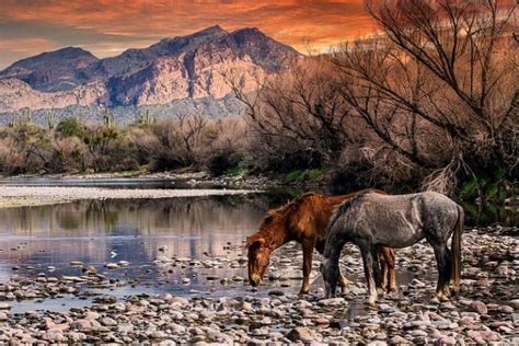 Tonto National Forest ATV Trails Including Bulldog Canyon - Wild ATV