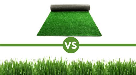 Artificial vs Real Grass: What Are The Best Choices For Your Yard?