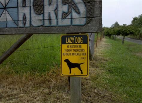 Top 10 Funny Beware of dog Signs