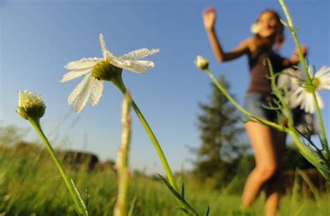 6 Lessons from Nature on Living a Peaceful, Fulfilling Life