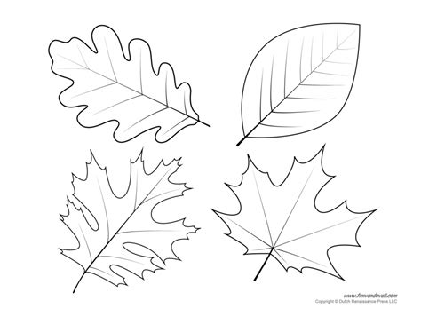 20+ Free Printable Leaf Coloring Pages - EverFreeColoring.com