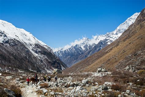 6 Treks Around the Langtang National Park in Nepal - Much Better Adventures Magazine