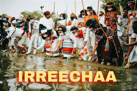 Irreechaa: Exploring the Essence of Oromo Culture and Tradition