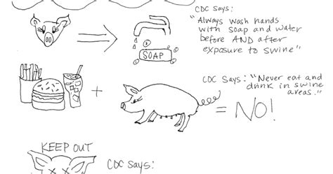 Your Graphic Health: Novel Swine Flu Prevention