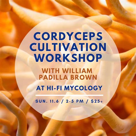 Cordyceps Cultivation Workshop — Central Texas Mycological Society