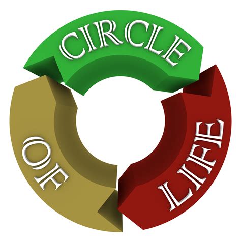 Circle of Life Arrows in Circular Cycle Showing Connections - Margaret ...