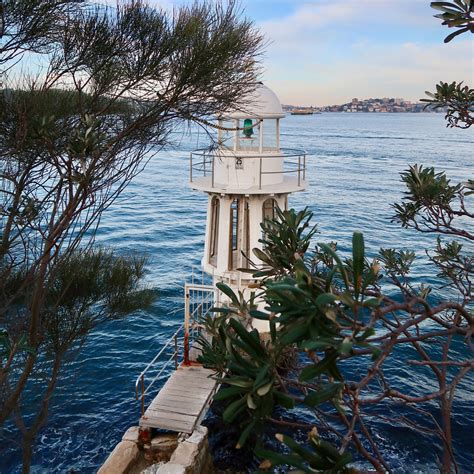 Cremorne Point Reserve walk — Incidentally Sydney