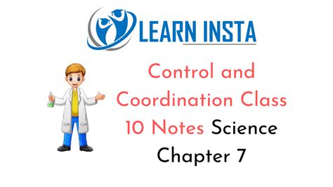 Control and Coordination Class 10 Notes Science Chapter 7