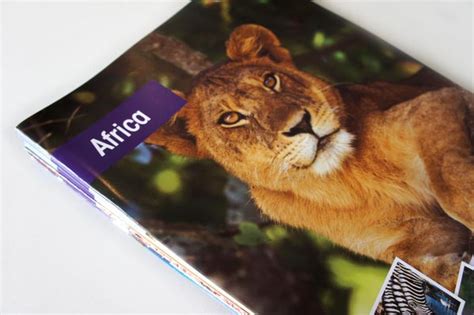 30 Great Examples of Travel Brochure Designs - Jayce-o-Yesta