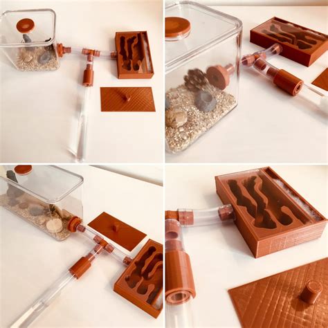 ANT SHACK - Formicarium and Ant Farm Kit Shop | Natural Ant Farm Kit - Product Assembly