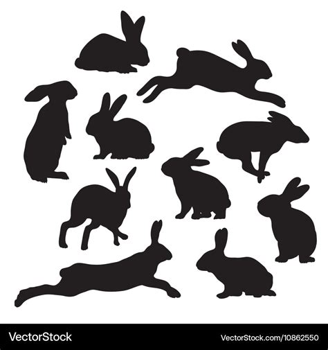 Rabbit Silhouettes Royalty Free Vector Image - VectorStock