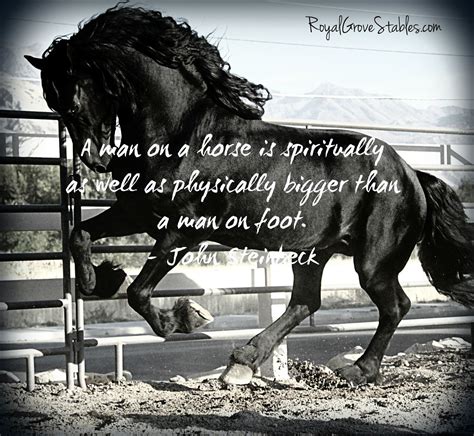 Jumping Horse Quotes Inspirational. QuotesGram