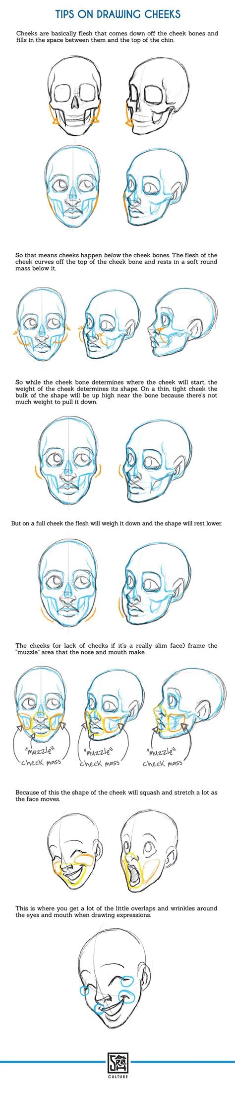 #Tutorial on #drawing cheekbones and cheeks! | tips by SarahCulture from #deviantart Drawing ...