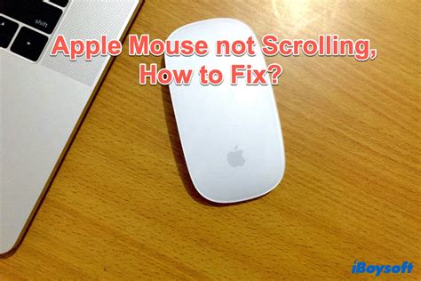 Apple Magic Mouse Not Scrolling, How to Fix?