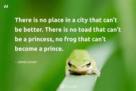 27 Frog Quotes about the Diverse Amphibians