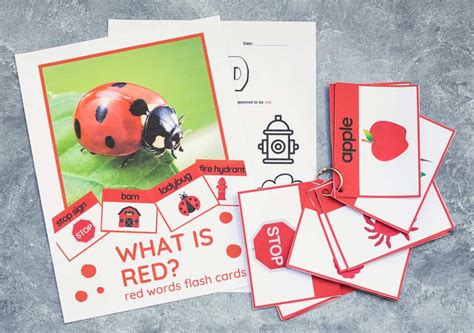 Red Words Flashcards – Free Printable | Haus of Boys