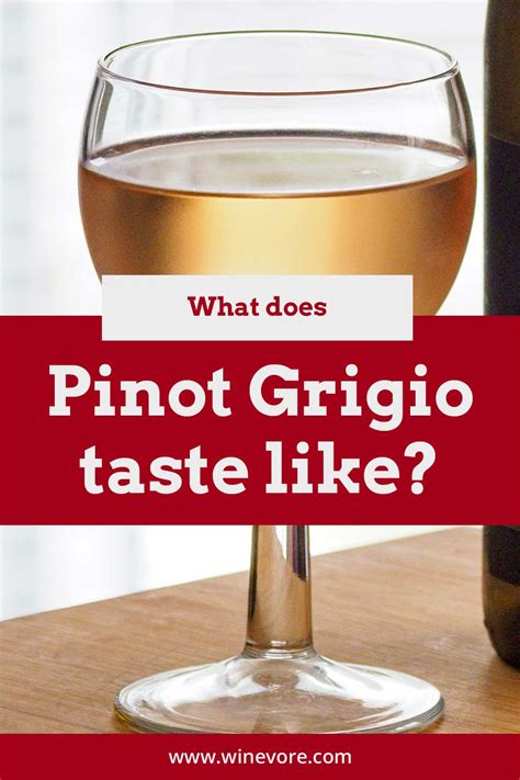 What Does Pinot Grigio Taste Like? - Winevore