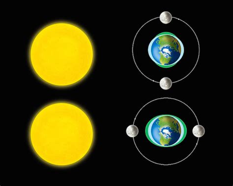 1: Schematic of Spring and Neap tides formation based on the sun, moon... | Download Scientific ...