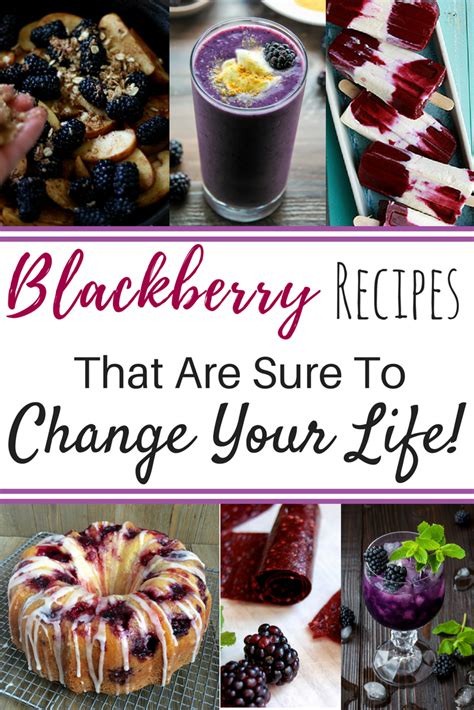 All Your Favorite Blackberry Recipes for Summer 20 Delicious Options