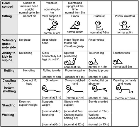 HINE scoring module illustrating the motor developmental milestones. | Download Scientific Diagram