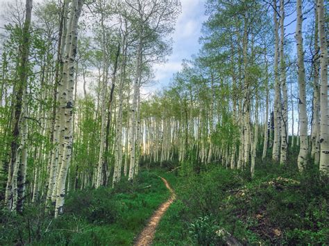 Hiking Trails in Draper Utah: Old Favorites & New Additions