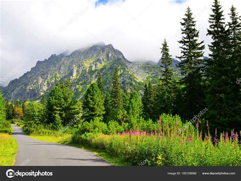 Summer Mountain Landscape Hiking Trail Mengusovska Valley Vysoke Tatry High — Stock Photo ...