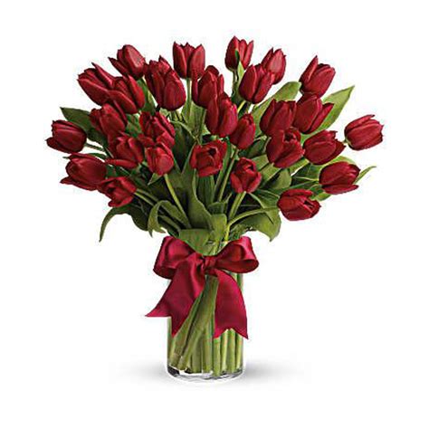 25 Red Tulips bouquet – ronitflowers