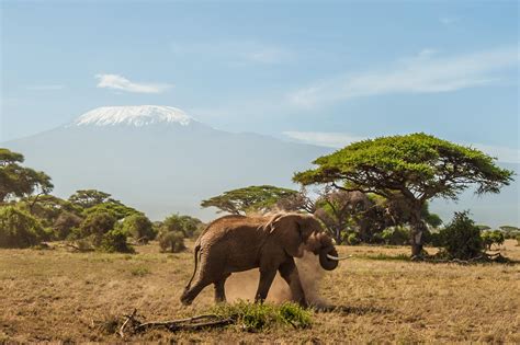 Amboseli National Park - Best Photo Spots