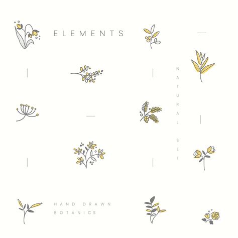 Set of hand drawn botanical elements vector | Free vector - 523364