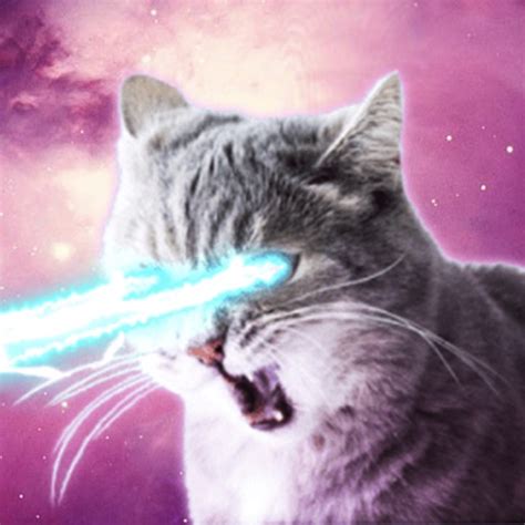 Laser Cat Blank Template - Imgflip