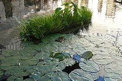 Category:Getty Villa - Gardens - Wikimedia Commons