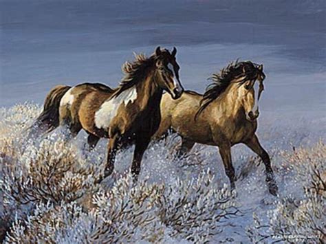 Wild Horses Wallpapers - Wallpaper Cave