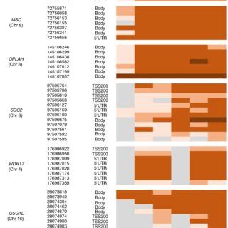 Methylation profile focused on CpG island regions including DMSs ...