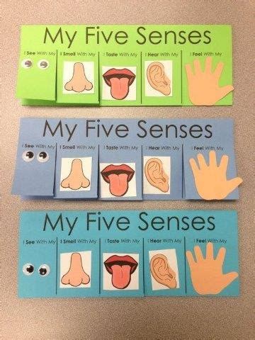 24 Five senses crafts for preschoolers - Preschool and Primary - Aluno On