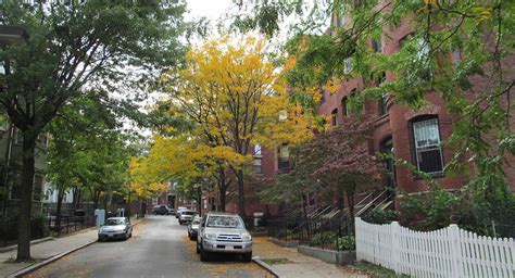 Neighborhood Guide: So You Want to Live in Roxbury