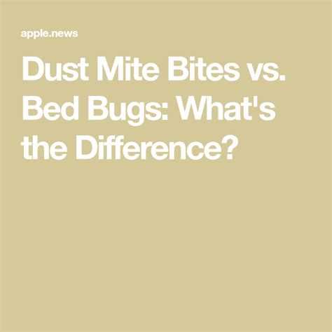 Dust Mite Bites vs. Bed Bugs: What's the Difference? — The Healthy