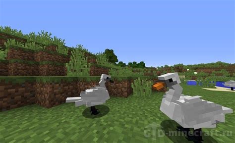 Download mod Exotic Birds for Minecraft 1.20.1/1.19.3/1.18.2/1.16.5/1.15.2/1.14.4/1.12.2/1.11.2 ...