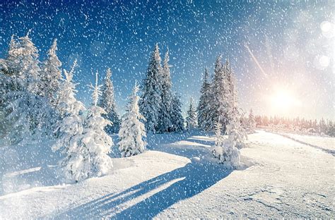 HD wallpaper: winter 4k high def, cold temperature, snow, snowing ...