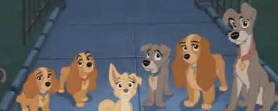 Lady and the Tramp Franchise - Characters | Behind The Voice Actors