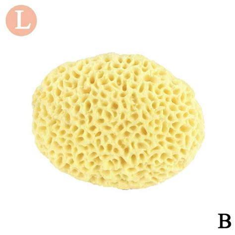 Natural Sea Wool Sponge Body Sponge Bath Sponges for Shower Honeycomb ...