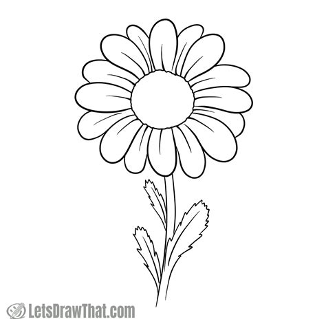 How to Draw a Daisy From Easy Simple Shapes